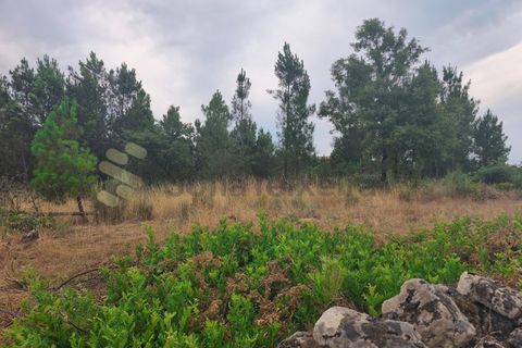 Farm i Chaves, Vila Real, Chaves - € 520.000 | Ref: MAS_103 - foto 39