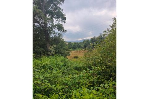 Farm i Chaves, Vila Real, Chaves - € 520.000 | Ref: MAS_103 - foto 40