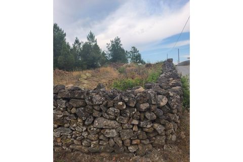 Farm i Chaves, Vila Real, Chaves - € 520.000 | Ref: MAS_103 - foto 41