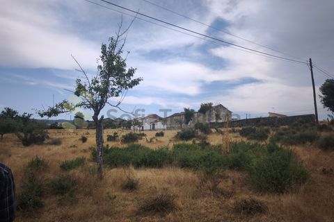 Farm i Chaves, Vila Real, Chaves - € 520.000 | Ref: MAS_103 - foto 42