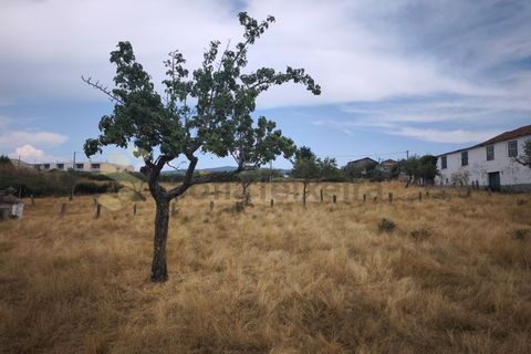 Farm i Chaves, Vila Real, Chaves - € 520.000 | Ref: MAS_103 - foto 44