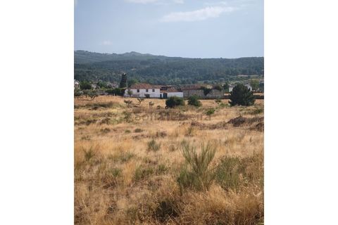 Farm i Chaves, Vila Real, Chaves - € 520.000 | Ref: MAS_103 - foto 45