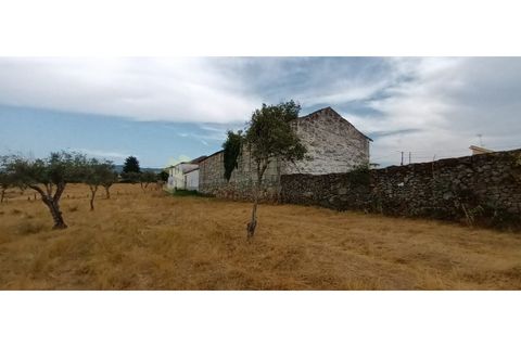 Farm i Chaves, Vila Real, Chaves - € 520.000 | Ref: MAS_103 - foto 46