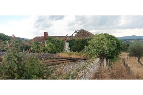 Farm i Chaves, Vila Real, Chaves - € 520.000 | Ref: MAS_103 - foto 50