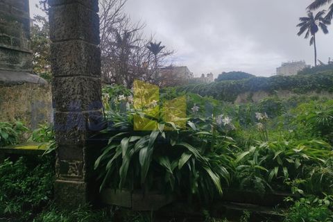 Rækkehus i Ponta Delgada, Sao Miguel, Ponta Delgada - € 450.000 | Ref: FHPM3059 - foto 2