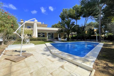 Villa in Sol De Mallorca, Mallorca, Sol De Mallorca - € 2.400.000 | Ref: SH-1537 - foto 16