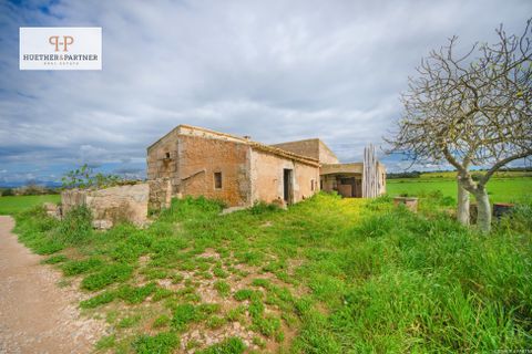 Landejendom i Manacor, Mallorca, Manacor - € 315.000 | Ref: 25-043 - foto 2