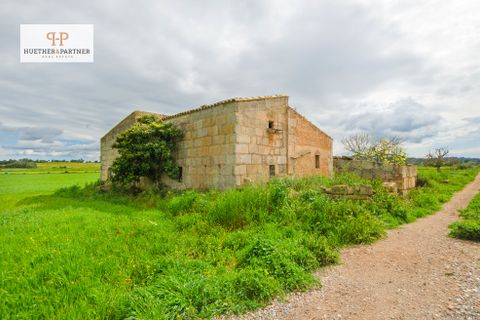 Landejendom i Manacor, Mallorca, Manacor - € 315.000 | Ref: 25-043 - foto 3