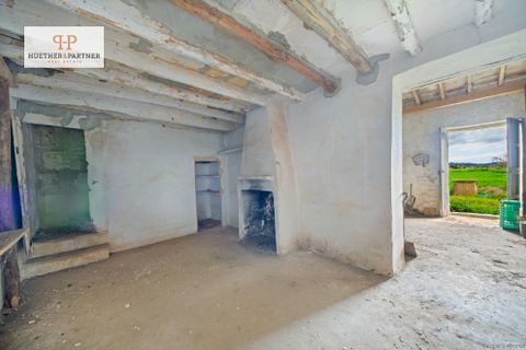 Landejendom i Manacor, Mallorca, Manacor - € 315.000 | Ref: 25-043 - foto 8