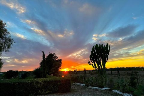 Villa i Noto, Siracusa, Noto - € 160.000 | Ref: Villetta Arcobaleno - Noto - foto 5