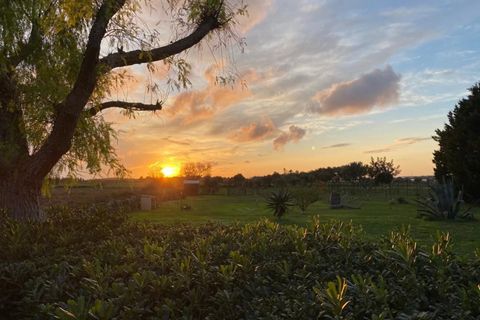 Villa i Noto, Siracusa, Noto - € 160.000 | Ref: Villetta Arcobaleno - Noto - foto 22