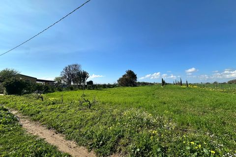 Villa i Noto, Siracusa, Noto - € 160.000 | Ref: Villetta Arcobaleno - Noto - foto 26