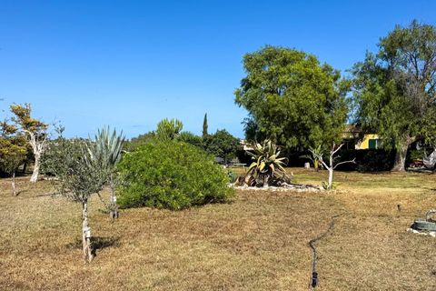 Villa i Noto, Siracusa, Noto - € 160.000 | Ref: Villetta Arcobaleno - Noto - foto 28