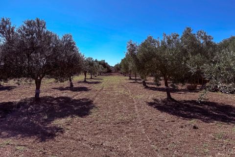 Villa i Noto, Siracusa, Noto - € 160.000 | Ref: Villetta Arcobaleno - Noto - foto 30