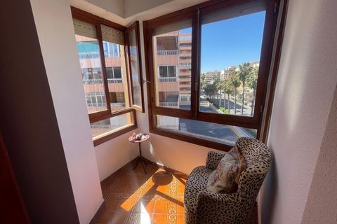 Leilighet i Torrevieja, Alicante, Torrevieja - € 180 000 | Ref: AP1-444/4147 - foto 21