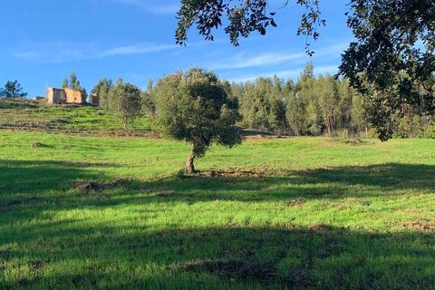 Villa i Odemira, Beja, Odemira - € 165.000 | Ref: Qt-465 - foto 2