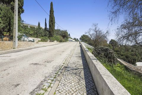 Villa i Carvoeiro, Faro, Carvoeiro - € 895.000 | Ref: FC1008VCZ - foto 47