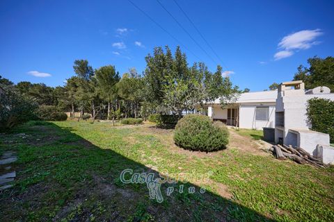 Villa a Gallipoli, Lecce, Gallipoli - € 495.000 | Ref: GIL-SUINA-495 - foto 4