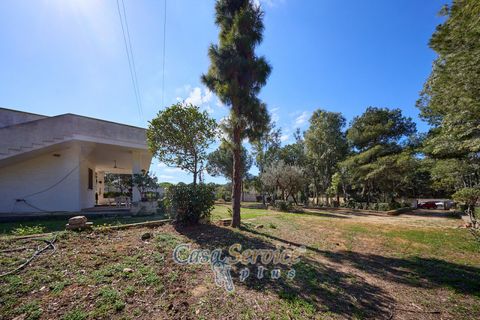 Villa a Gallipoli, Lecce, Gallipoli - € 495.000 | Ref: GIL-SUINA-495 - foto 20