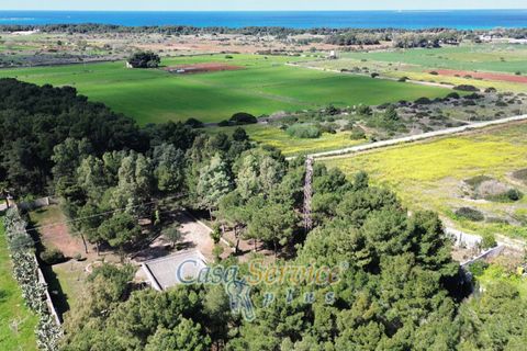 Villa a Gallipoli, Lecce, Gallipoli - € 495.000 | Ref: GIL-SUINA-495 - foto 21