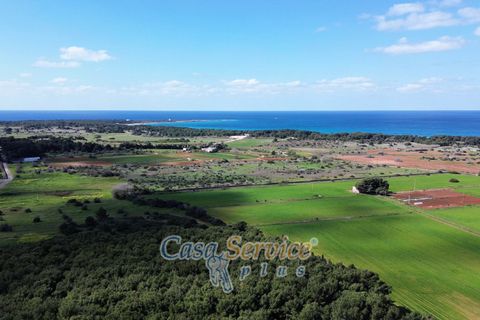 Villa a Gallipoli, Lecce, Gallipoli - € 495.000 | Ref: GIL-SUINA-495 - foto 22