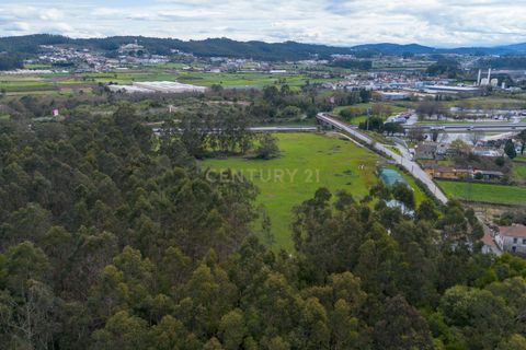 Helårsgrund i Trofa, Porto, Trofa - € 945.000 | Ref: C0393-01215 - foto 4
