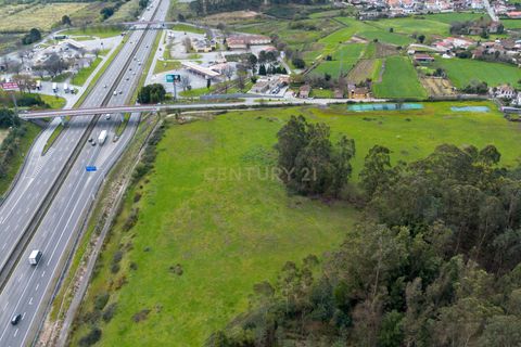 Helårsgrund i Trofa, Porto, Trofa - € 945.000 | Ref: C0393-01215 - foto 5