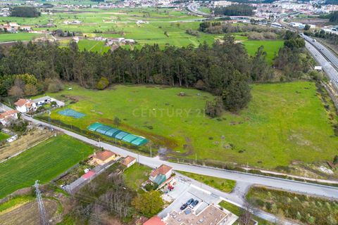 Helårsgrund i Trofa, Porto, Trofa - € 945.000 | Ref: C0393-01215 - foto 6