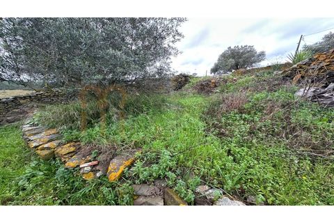 Villa i Beja, Beja, Beja - € 33.500 | Ref: BYS-1049 - foto 4