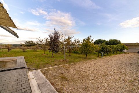 Villa i Cartaxo, Santarem, Cartaxo - € 1.460.000 | Ref: MOR/1085 - foto 7