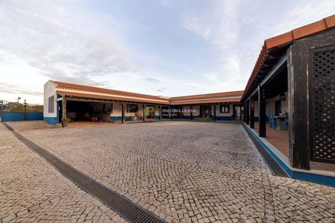 Villa i Cartaxo, Santarem, Cartaxo - € 1.460.000 | Ref: MOR/1085 - foto 14