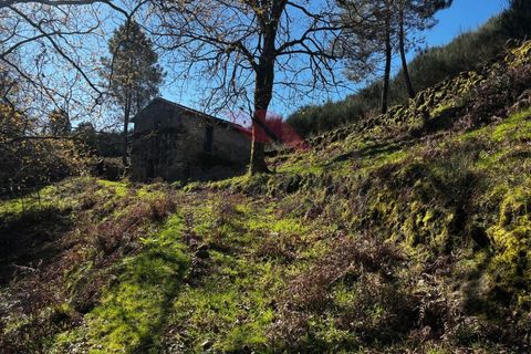 Helårsgrund i Arcos de Valdevez, Viana do Castelo, Arcos de Valdevez - € 55.000 | Ref: AVV-2402-AA-0325 - foto 2