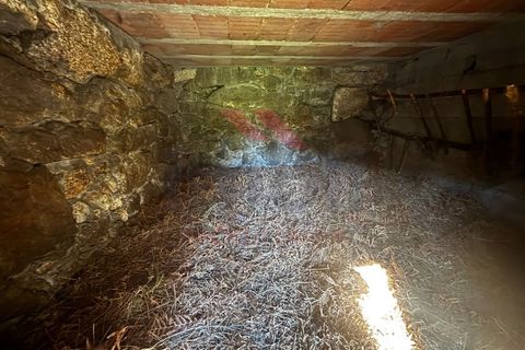 Helårsgrund i Arcos de Valdevez, Viana do Castelo, Arcos de Valdevez - € 55.000 | Ref: AVV-2402-AA-0325 - foto 3