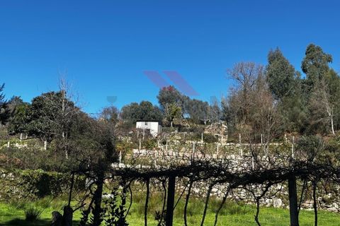 Helårsgrund i Arcos de Valdevez, Viana do Castelo, Arcos de Valdevez - € 55.000 | Ref: AVV-2402-AA-0325 - foto 5