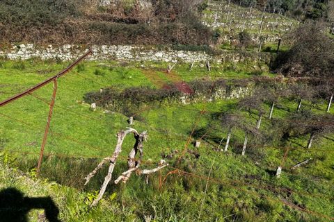 Helårsgrund i Arcos de Valdevez, Viana do Castelo, Arcos de Valdevez - € 55.000 | Ref: AVV-2402-AA-0325 - foto 6