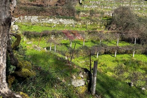 Helårsgrund i Arcos de Valdevez, Viana do Castelo, Arcos de Valdevez - € 55.000 | Ref: AVV-2402-AA-0325 - foto 7