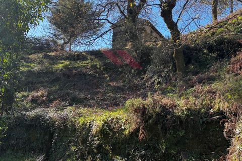 Helårsgrund i Arcos de Valdevez, Viana do Castelo, Arcos de Valdevez - € 55.000 | Ref: AVV-2402-AA-0325 - foto 8
