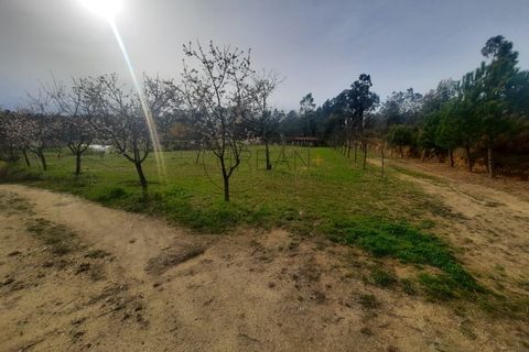 Helårsgrund i Cavernaes, Viseu, Cavernaes - € 150.000 | Ref: 0089 - foto 2