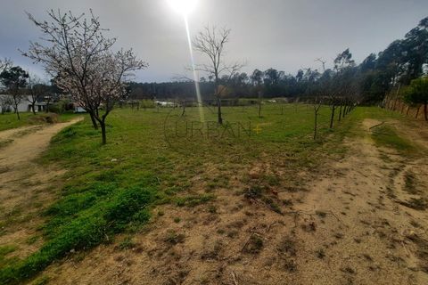 Helårsgrund i Cavernaes, Viseu, Cavernaes - € 150.000 | Ref: 0089 - foto 3