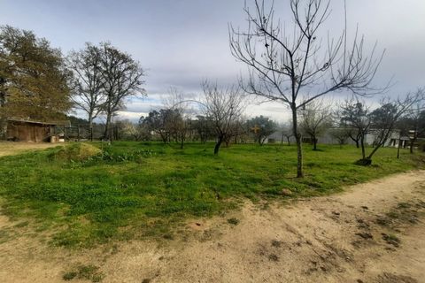 Helårsgrund i Cavernaes, Viseu, Cavernaes - € 150.000 | Ref: 0089 - foto 4