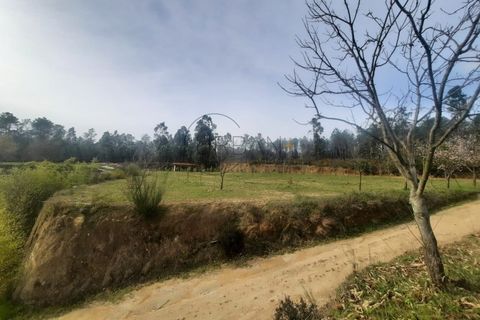 Helårsgrund i Cavernaes, Viseu, Cavernaes - € 150.000 | Ref: 0089 - foto 5