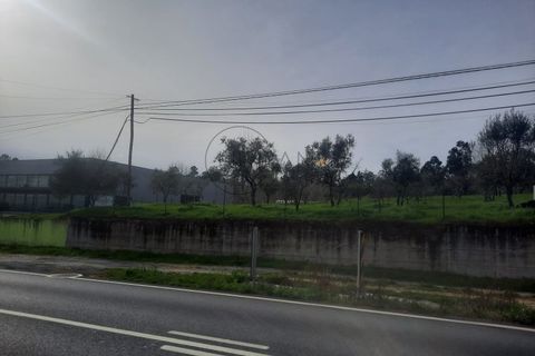 Grond in Cavernaes, Viseu, Cavernaes - € 200.000 | Ref: 0090 - foto 2