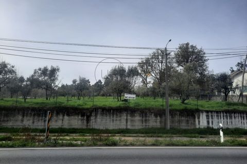 Grond in Cavernaes, Viseu, Cavernaes - € 200.000 | Ref: 0090 - foto 3