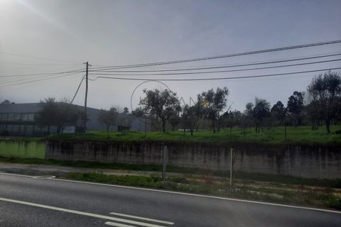 Grond in Cavernaes, Viseu, Cavernaes - € 200.000 | Ref: 0090 - foto 4