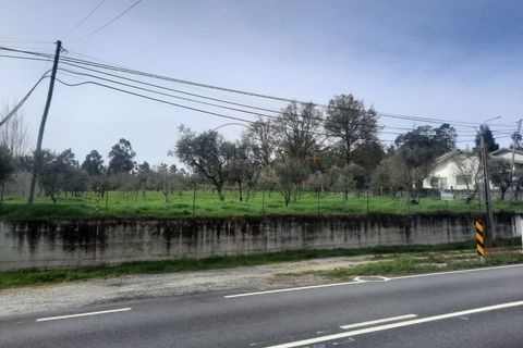 Grond in Cavernaes, Viseu, Cavernaes - € 200.000 | Ref: 0090 - foto 5