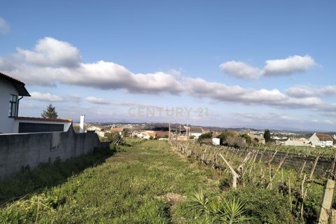 Helårsgrund i Aveiro, Aveiro, Aveiro - € 60.000 | Ref: C0385-00859 - foto 3