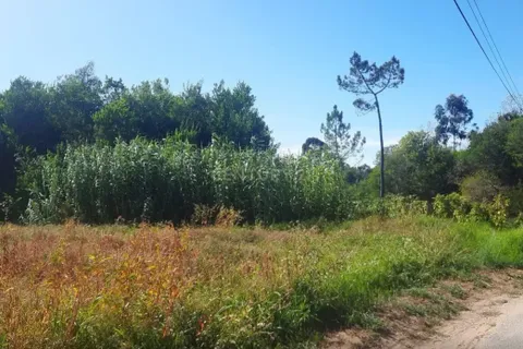 Helårsgrund i Anadia, Aveiro, Anadia - € 65.000 | Ref: C0385-00728 - foto 4
