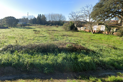 Helårsgrund i Anadia, Aveiro, Anadia - € 65.000 | Ref: C0385-00729 - foto 3