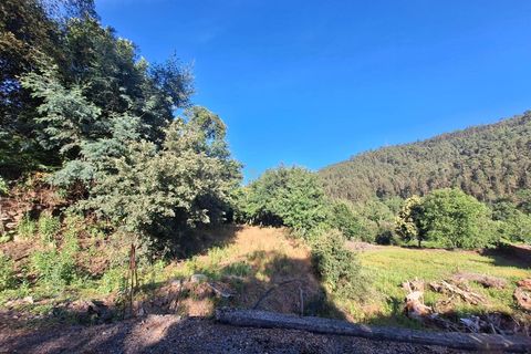 Helårsgrund i Arouca, Aveiro, Arouca - € 85.000 | Ref: C0385-00769 - foto 2