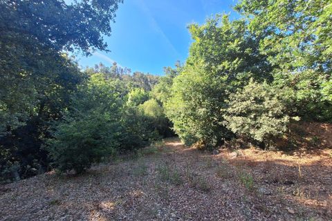 Helårsgrund i Arouca, Aveiro, Arouca - € 85.000 | Ref: C0385-00769 - foto 3